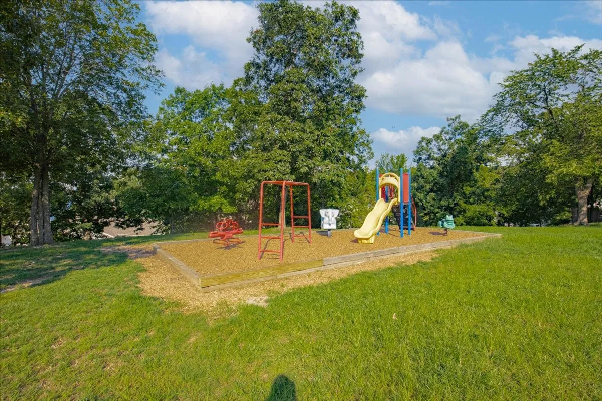 This image features a cheerful playground set surrounded by green grass and trees. The vibrant equipment is perfectly suited for children and the open grassy area invites family gatherings and outdoor activities.